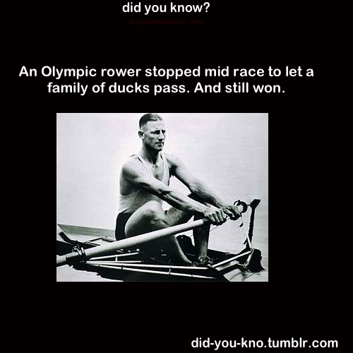 did-you-kno:  Source