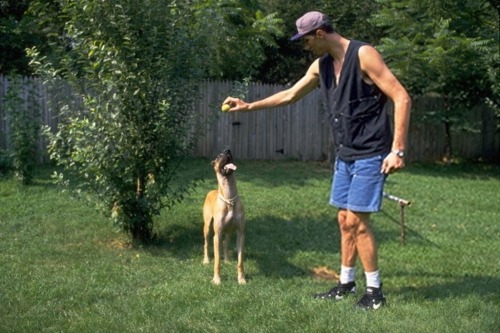 Oh, it’s just Gheorghe Muresan feeding his dog.