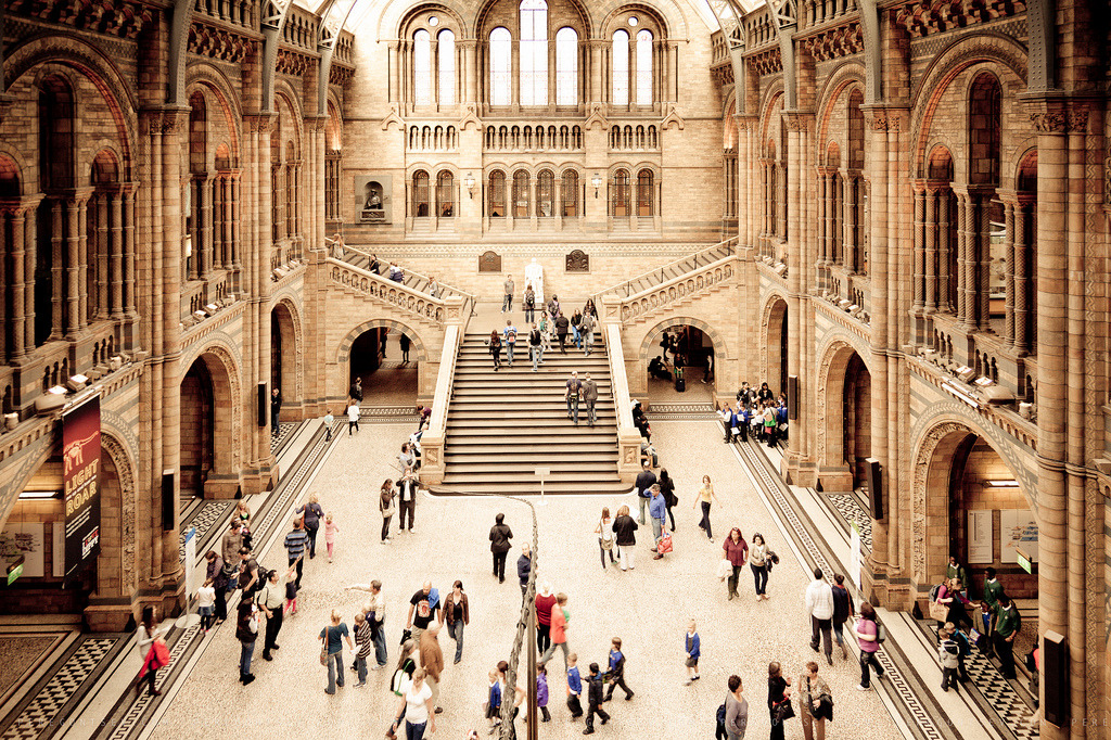 sav3mys0ul:  National History Museum (by romap) 