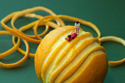 oliphillips:  Miniature Food Art by Christopher