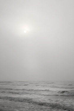 ghostskeleton:  Pelican Beach, Galveston (by Mark Peter Drolet) 