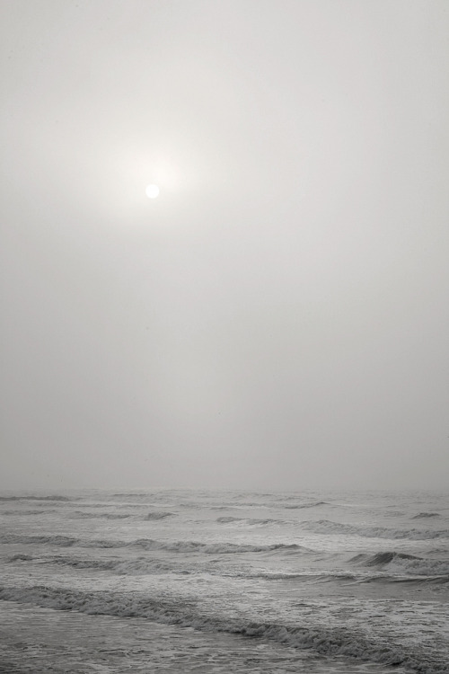 Porn photo ghostskeleton:  Pelican Beach, Galveston