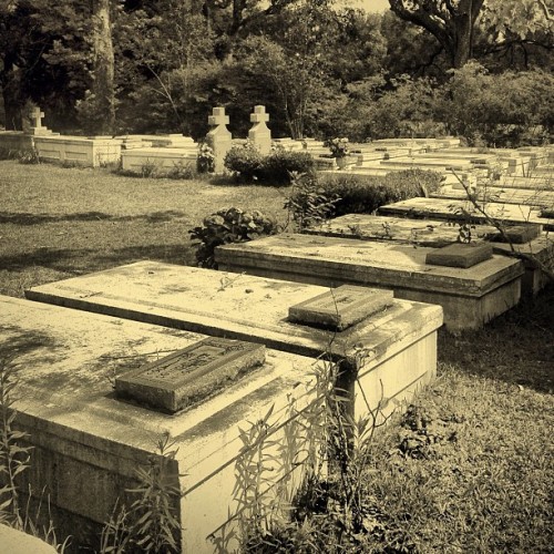 Taken with instagram
