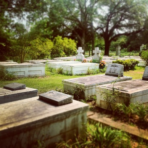 Taken with instagram