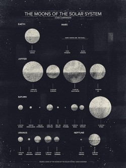 theseachingbones:  I love that they all have such cool names and we have Moon the moon…. way to go…