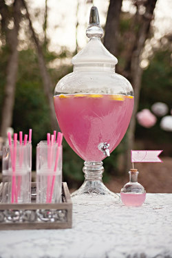 thecakebar:  pink lemonade stand for backyard