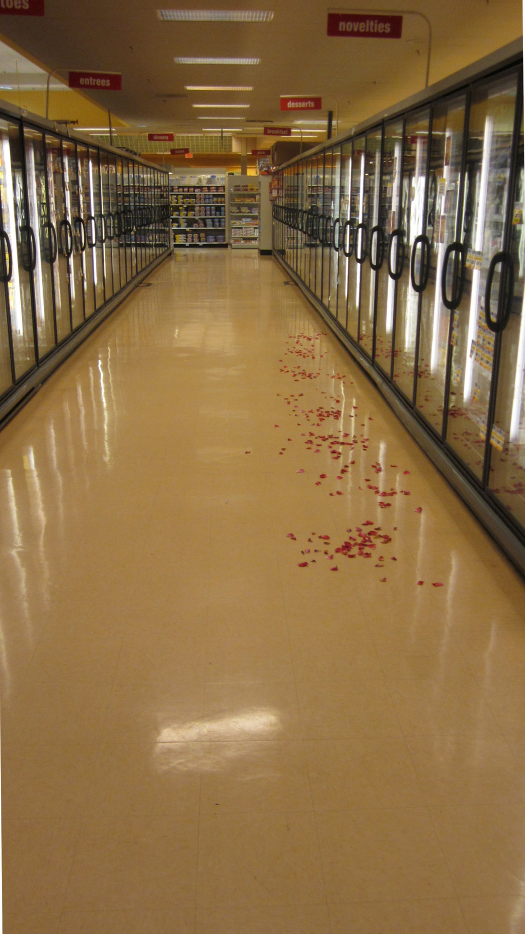 moitastic:  addigot-moxie:  hissbitch:  Rose petals leading to Cool Whip (2012) 