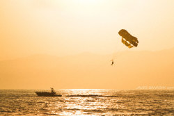 Venice Beach CA