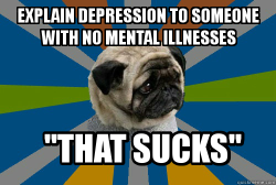 clinicallydepressedpug:  Credit“sucks”