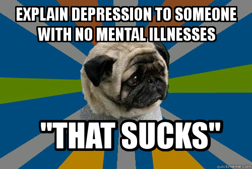clinicallydepressedpug:  Credit“sucks” doesn’t even begin to describe it 