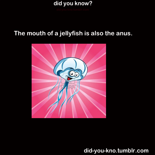 did-you-kno:  Source
