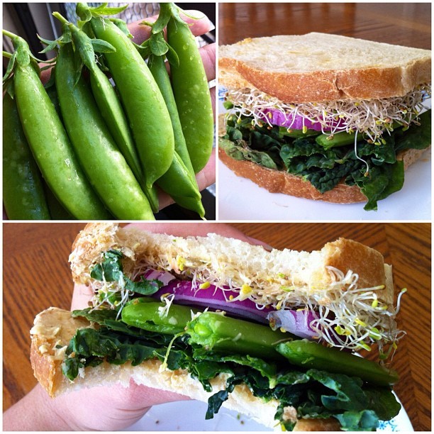 yackattack:  I made a tasty sandwich in honor of my first sugar snap pea harvest!