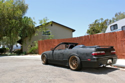 devotedmind:  reblog my niggas s13 vert!!