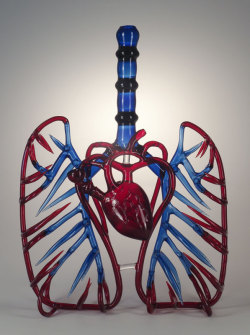 squidwardtheunfriendlyghost:   myampgoesto11:  Robert Mickelsen: Heart And Soul (2012) Lampworked borosilicate glass, sculpted, blown, sandblasted   damn man i dont even wann know how you clean this. 