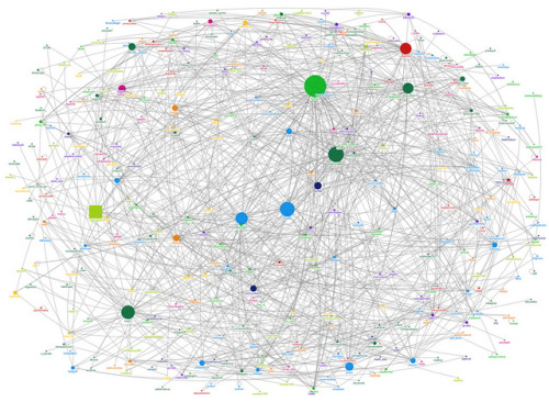 Want to learn how to make a Twitter network activity map like this one? Read instructions from Justin Grimes on the Sunlight Foundation blog. First ingredient: “software and a question." Enjoy Sunlight’s Tools for Transparency series.