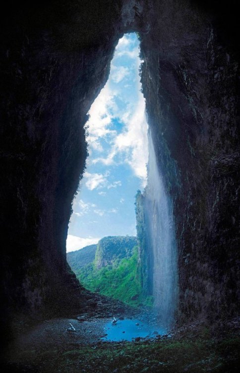 Cueva del Fantasma (Cave of the ghost), discovered 6 years ago in a jungle of southern Venezuela. Th