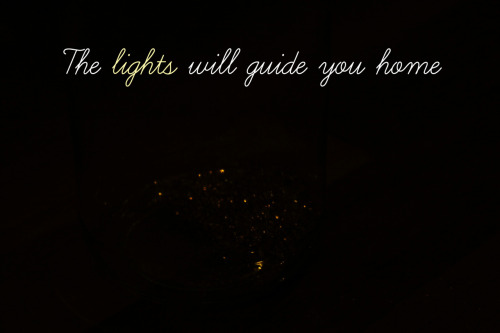 The lights will guide you home and ignite you bones. I will try to fix you ~ COLDPLAY