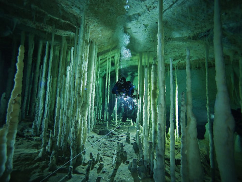 A diver threads the needle through a stalagmite forest in Dan&rsquo;s Cave on Abaco Island, Bahamas 