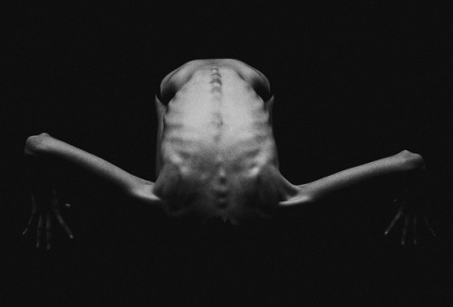 la beauté convulsive
