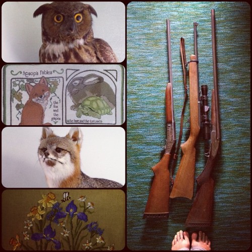 Taxidermy, embroidery, really pretty shotguns (and a deer rifle). #fromwhereistand (Taken with insta