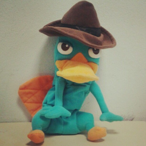 Agent P! (Instagram)