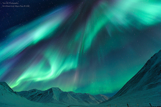 basementjax:  aurora-30_sig by Tom_NC on Flickr. 