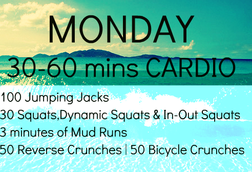 lowcaloriemolly:  keepcalmanddrinkwater:  Summer Workout Plan is finished aha. Use