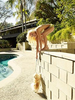 fuckyeahhotactress:  Anna Faris