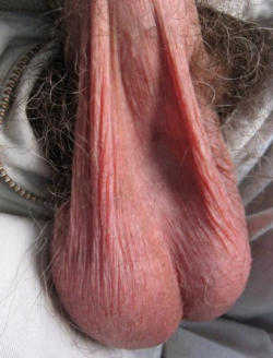 str8menrule:  boisehorndawg:  http://boisehorndawg.tumblr.com/archive  str8menrule  The Beauty of Balls!!!  