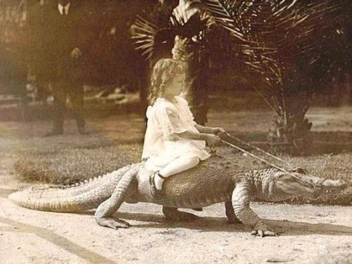 1920s, Doreen taking an alligator ride. adult photos