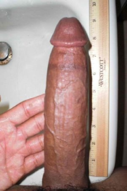 randummgayshit:  9 Inches Exactly