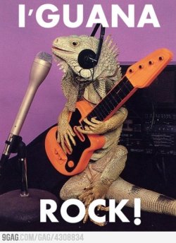 9gag:  I wanna Rock! 