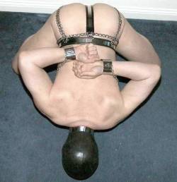 boysobey:  slutfaceslave:  slavefantasies:  Full chastity belt. Big butt plugged locked in place and unable to wank or cum. This boy is gagging to suck on his Master’s cock.   what we all want 