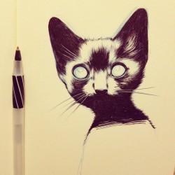 tfail:  kitten wip. 