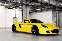 automotivated:  Carrera GT (by This will do) 