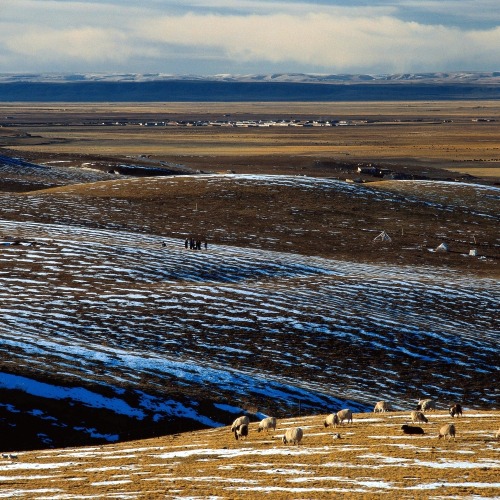 XXX great-china:  黑土地 Black earth photo