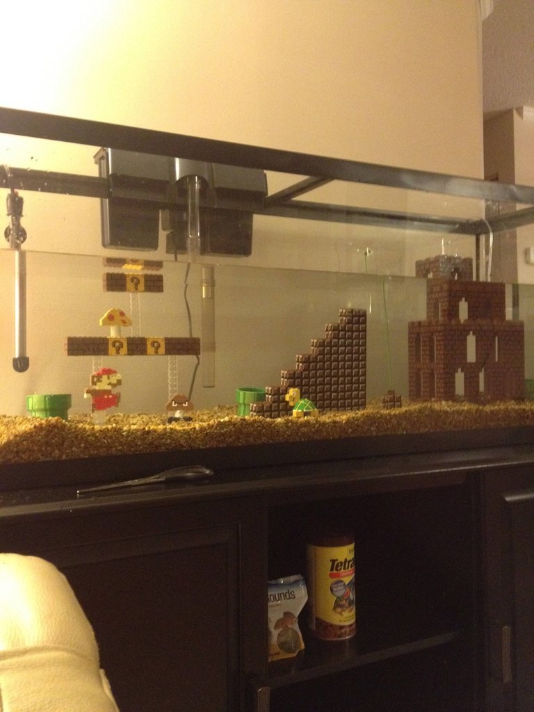 otlgaming:  MARIO, YOUR PRINCESS IS IN ANOTHER AQUARIUM?!?! Reddittor jennyleighb