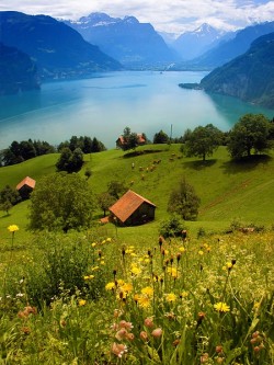 bluepueblo:  Lake Lucern, Switzerland photo