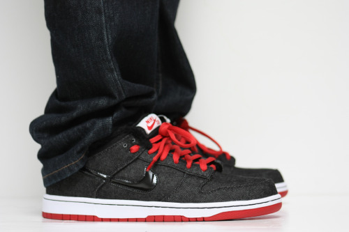 nike sb chirping bird