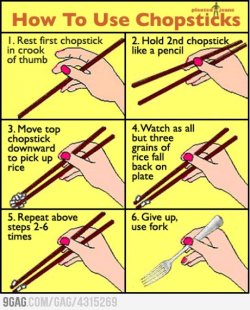 9gag:  How to Use Chopsticks  LEO USOU ESSE