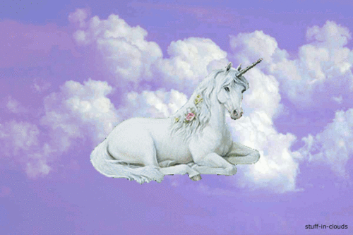 wastedacid:  some stuff you should see xxxx