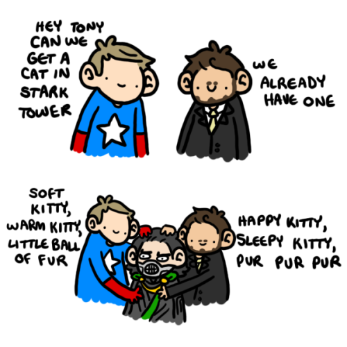 ariangeli:  eleventhwhovian:  Lokitty by *geothebio  Wha-… What just happened?  