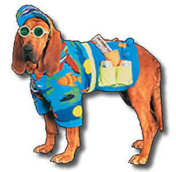 commanderinqueef:  I googled “party animal” I don’t know what I expected