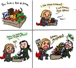 codesterbro:  Bad Loki! Bad!   This is what really happened