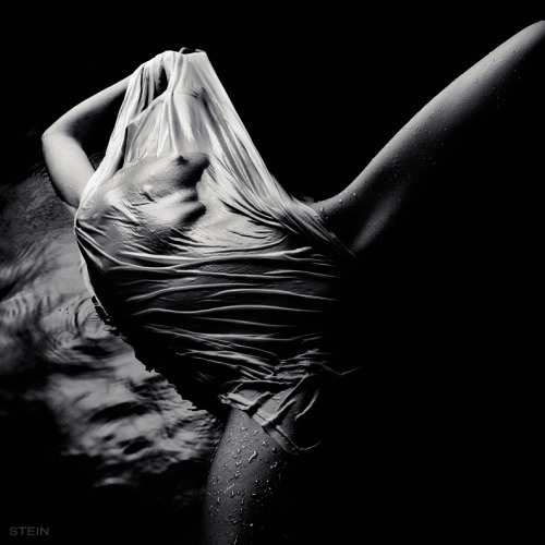 aberrantbeauty:  Vadim Stein