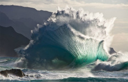 llbwwb:  amazing wave splash by aaron feinberg