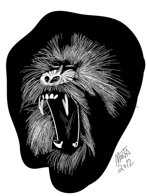 Mandrill On Flickr. Developmental Sketch For A Logo And Illustration.