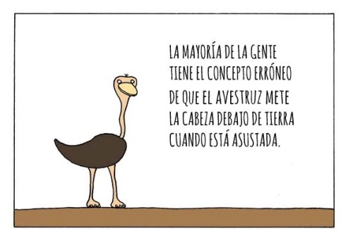 lavin-compae:  Que lo sepáis. Original
