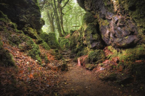 Porn theoddmentemporium:  Puzzlewood is an ancient photos