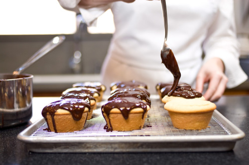  americastestkitchen: How To Make Boston Cream Cupcakes Boston cream pie meets the Hostess cupcake in this delectable sweet. Get the step-by-step instructions here. 